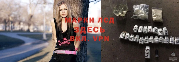 сатива Медногорск