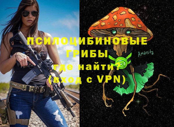 трава Медвежьегорск
