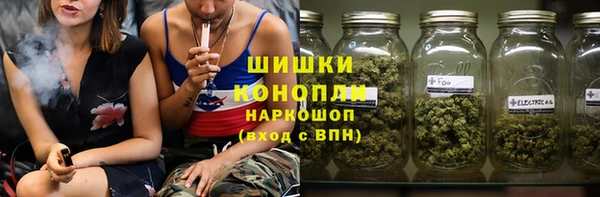 сатива Медногорск