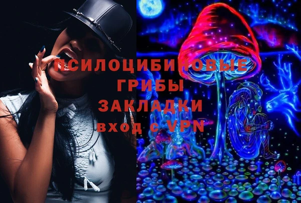 сатива Медногорск